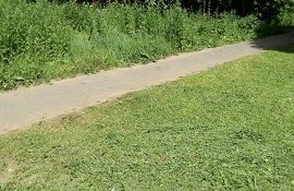 Покос травы на придомовых территориях Покос травы на придомовых территориях