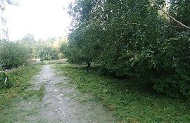 Покос травы на придомовых территориях