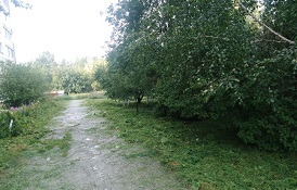 Покос травы на придомовых территориях