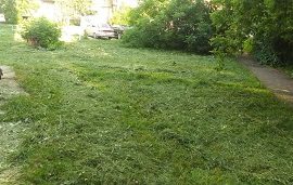 Покос травы на придомовых территориях