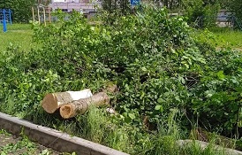 Снос аварийных деревьев на придомовых территориях