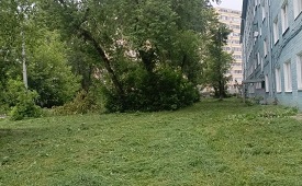 Покос травы на придомовых территориях