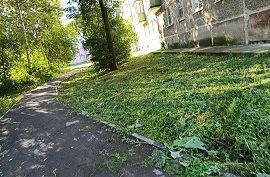 Покос травы на придомовых территориях