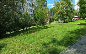 Покос травы на придомовых территориях